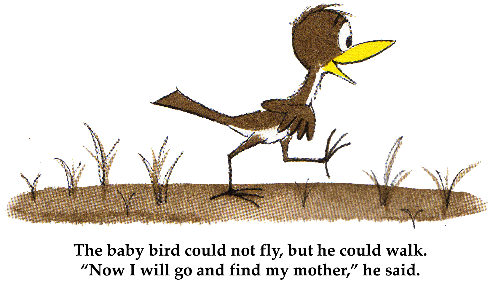 The baby bird could not fly, but he could walk.